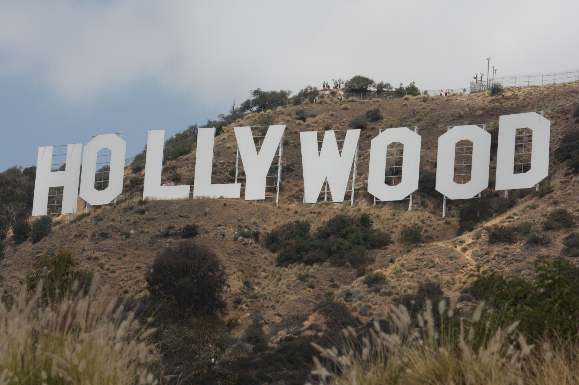 Los Angeles IOP