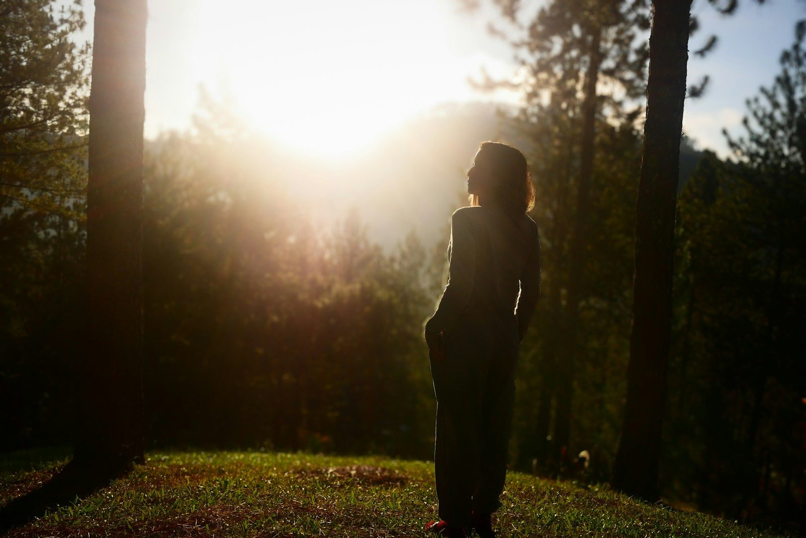 Woman standing in a forest at sunset